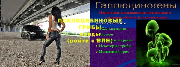 Альфа ПВП Аркадак